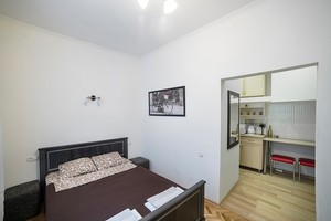 Новая однокомнатная квартира в центре Львова посуточно для 2 гостей