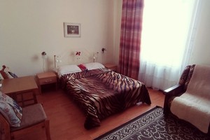 1-кімнатна квартира подобово в центрі Львова