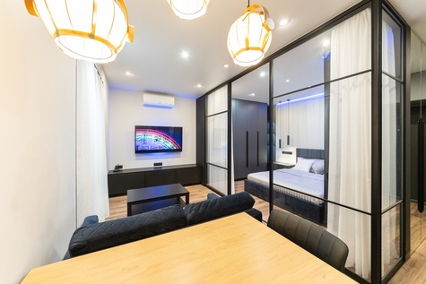 Стильная 1-комнатная квартира (Киев)