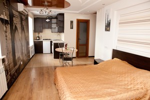 Квартира в центрі Вінниці для проживання 2 гостей