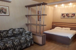 Квартира студія подобово в самому центрі біля парку Шовковичний