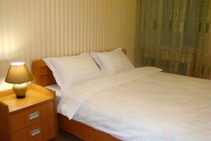 Київ двокімнатна квартира подобово